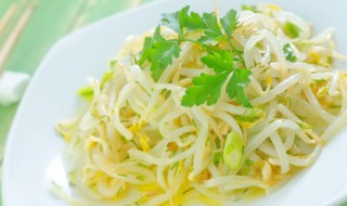 豆芽菜可以放冰箱吗（豆芽菜不放冰箱怎么保存）