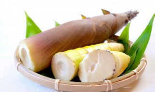 挖笋子怎么晒干 笋怎么挖的