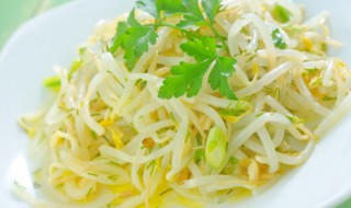豆芽发芽了有小叶子怎么种（发豆芽长叶子是怎么回事）