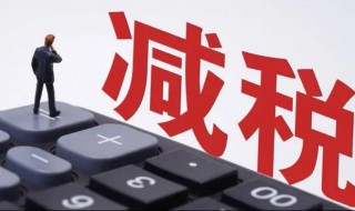 减免所得税优惠明细表怎么填 汇算清缴减免所得税优惠明细表怎么填