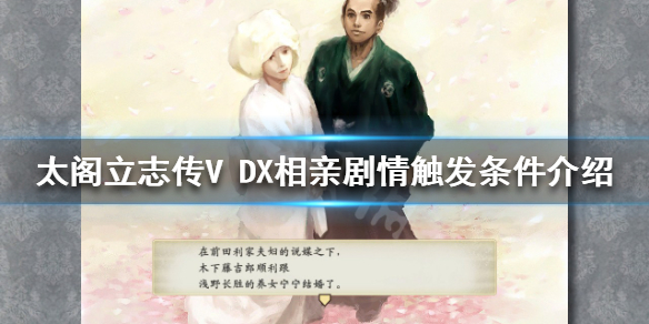 太阁立志传V 太阁立志传v dx 攻略