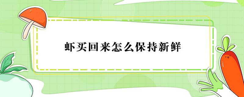 虾买回来怎么保持新鲜