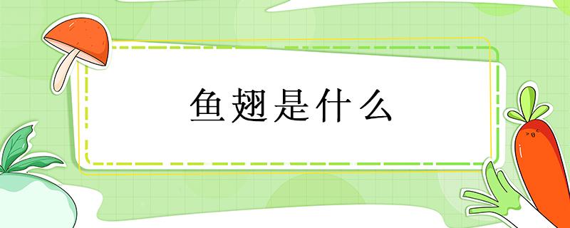 鱼翅是什么 鱼翅是什么鱼身上的