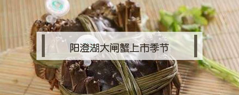 阳澄湖大闸蟹上市季节 今年阳澄湖大闸蟹上市时间