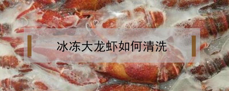 冰冻大龙虾如何清洗