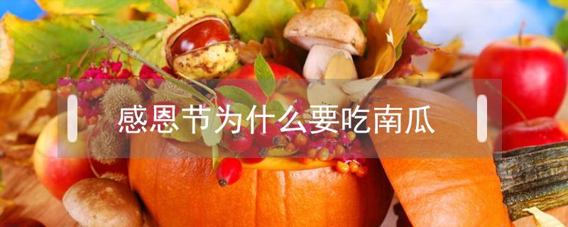 感恩节为什么要吃南瓜（感恩节为什么要吃南瓜馅饼）