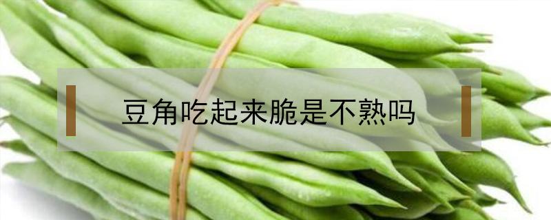 豆角吃起来脆是不熟吗 豆角脆脆的熟了吗