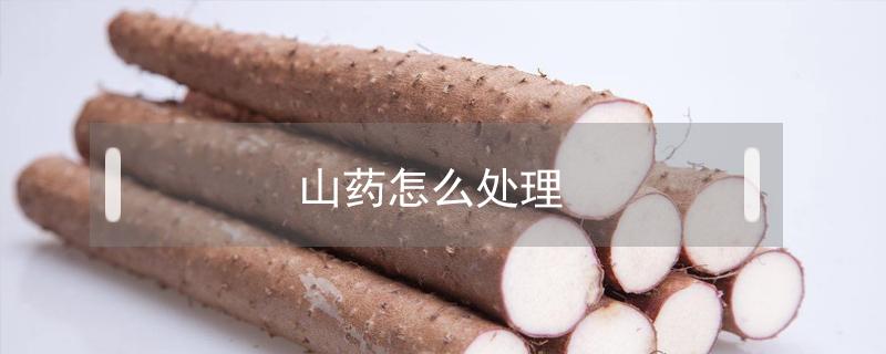 山药怎么处理