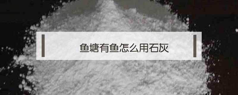 鱼塘有鱼怎么用石灰