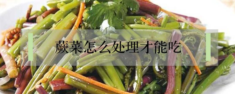 蕨菜怎么处理才能吃 盐渍蕨菜怎么处理才能吃