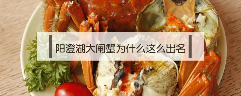 阳澄湖大闸蟹为什么这么出名（大闸蟹由来及阳澄湖出名）