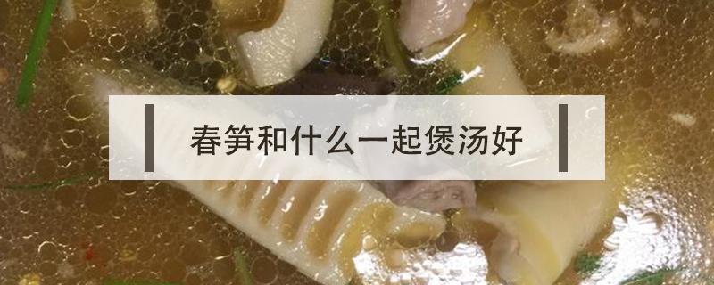 春笋和什么一起煲汤好