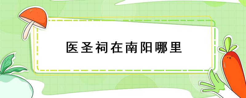 医圣祠在南阳哪里 南阳医圣祠街在什么位置