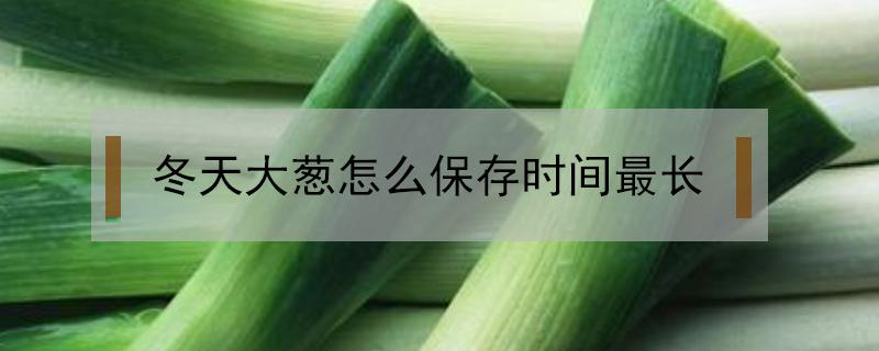 冬天大葱怎么保存时间最长（大葱怎样保鲜时间长）
