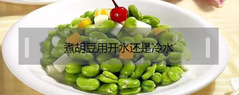 煮胡豆用开水还是冷水 新鲜胡豆焯水用冷水还是热水