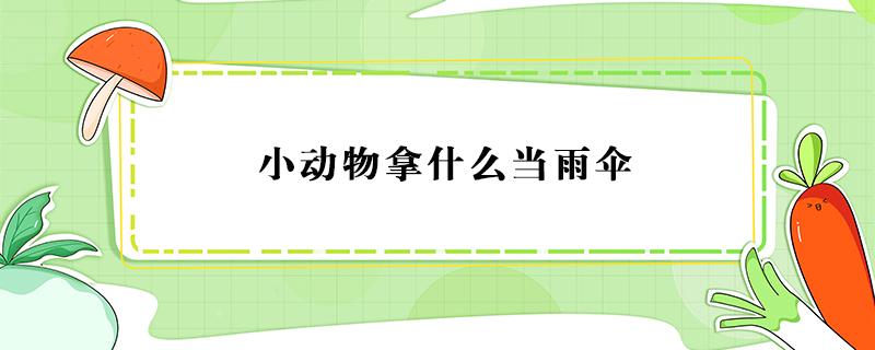 小动物拿什么当雨伞 小动物拿什么当雨伞造句