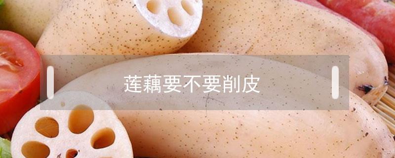 莲藕要不要削皮 莲藕要不要削皮煲汤