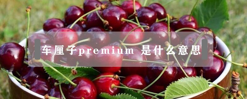 车厘子premium 车厘子PREMIUM什么意思