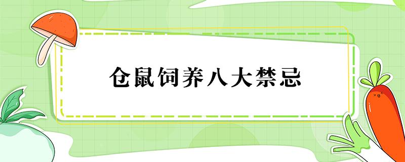 仓鼠饲养八大禁忌