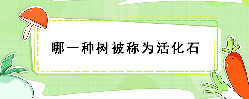 哪一种树被称为活化石 被称作活化石的树有哪些树