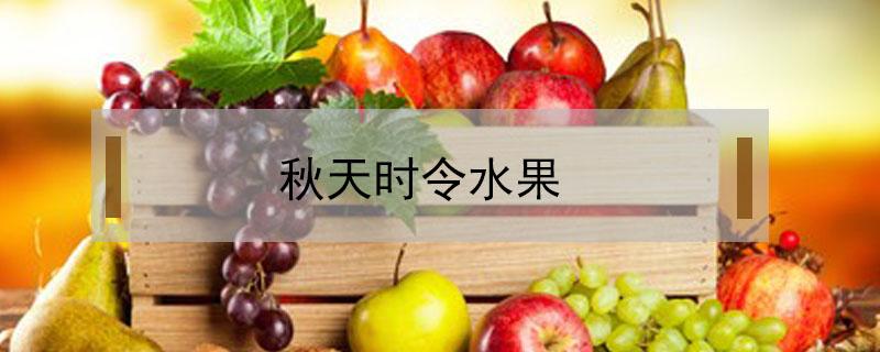 秋天时令水果（秋天时令水果图片）