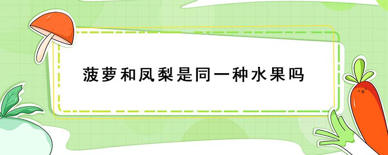 菠萝和凤梨是同一种水果吗 樱桃和车厘子是同一种水果吗