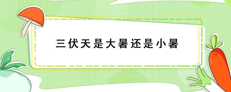 三伏天是大暑还是小暑 小暑大暑和三伏是有什么不同
