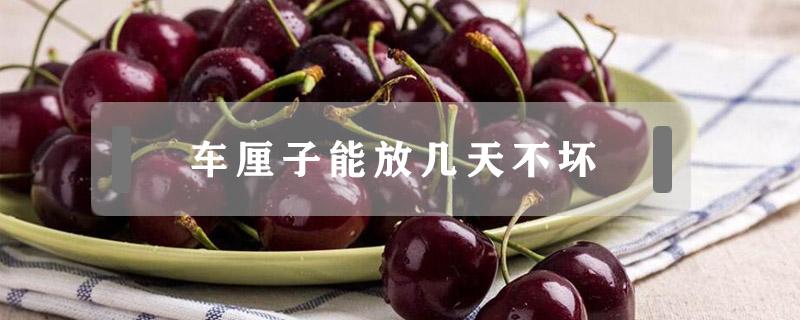 车厘子能放几天不坏（车厘子怎么存放不会坏）