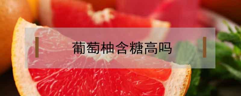 葡萄柚含糖高吗（葡萄柚含糖高吗孕妇可以吃吗）