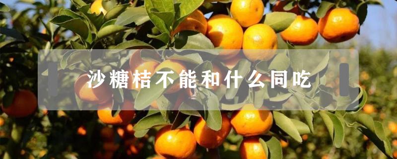 沙糖桔不能和什么同吃（沙糖桔不能和什么一起吃香哈）