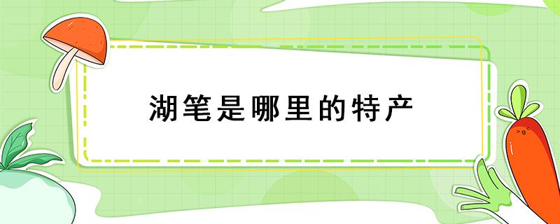 湖笔是哪里的特产（湖笔是哪个地方的特产）