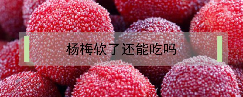杨梅软了还能吃吗（杨梅吃了会怎么样）