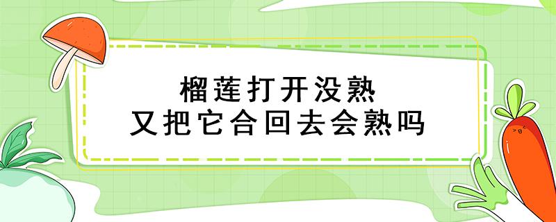 榴莲打开没熟又把它合回去会熟吗（榴莲打开没熟又把它合回去会熟吗怎么办）