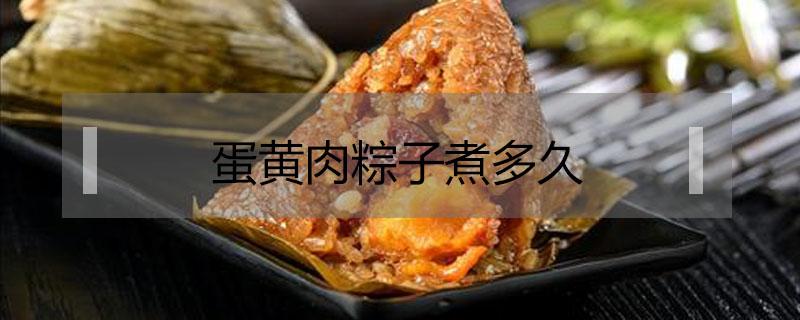 蛋黄肉粽子煮多久