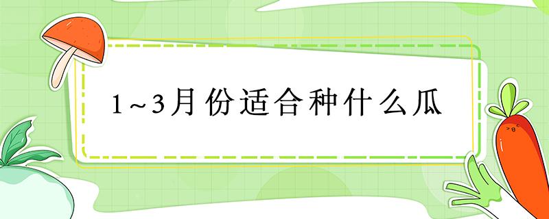 1~3月份适合种什么瓜