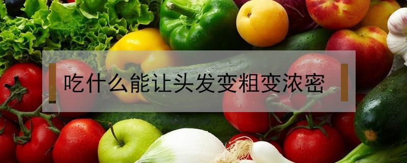 吃什么能让头发变粗变浓密 吃什么可以让头发变密变粗