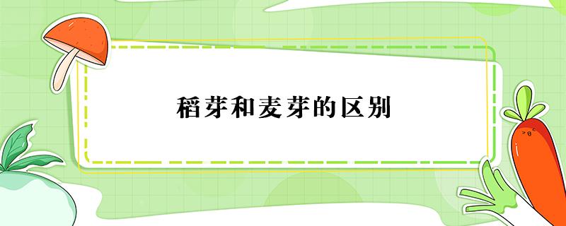 稻芽和麦芽的区别 稻芽与谷芽的区别