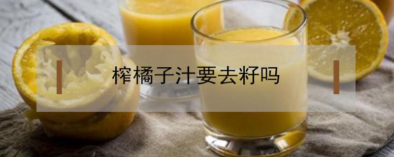榨橘子汁要去籽吗（橘子没去籽直接榨汁了能喝吗）