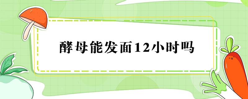 酵母发面12小时可以吗