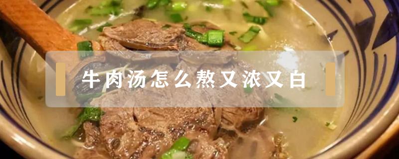 牛肉汤怎么熬又浓又白