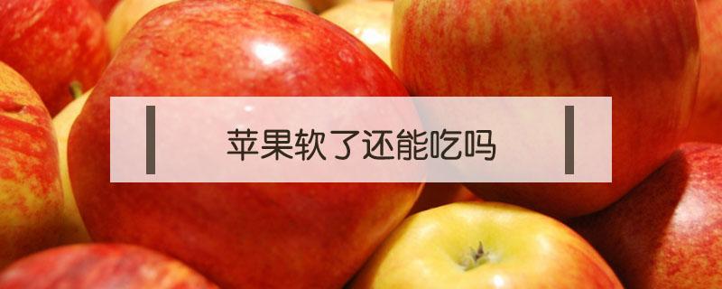 苹果软了还能吃吗 苹果稍微有点软能吃吗