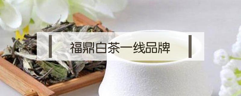 福鼎白茶一线品牌（福鼎白茶所有品牌）