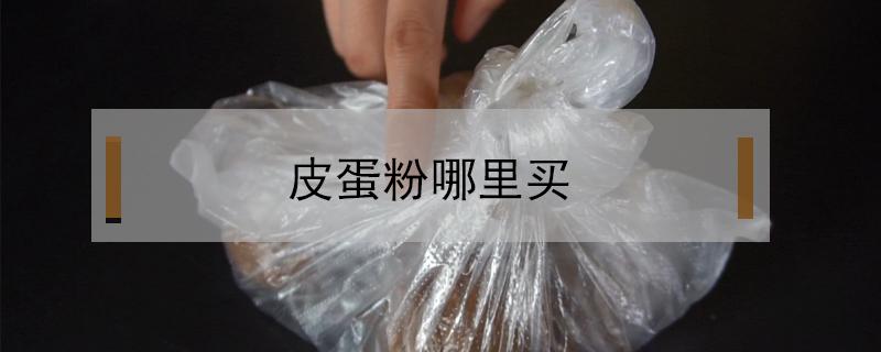 皮蛋粉哪里买