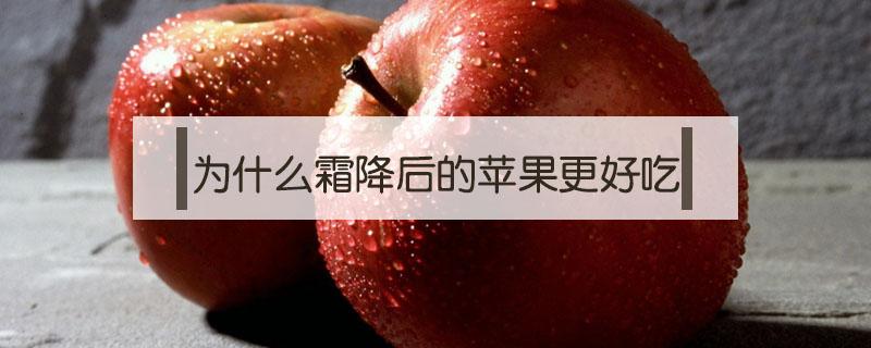 为什么霜降后的苹果更好吃 霜降苹果为什么特别甜