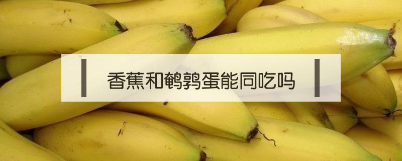 香蕉和鹌鹑蛋能同吃吗（鹌鹑可以吃香蕉吗）