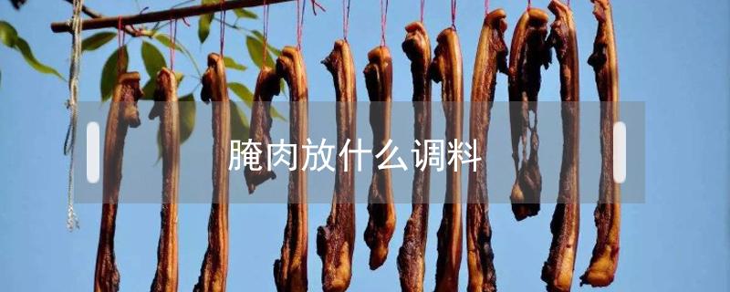 腌肉放什么调料 烧烤腌肉放什么调料