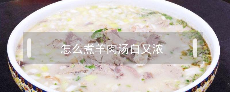 怎么煮羊肉汤白又浓 怎样煮出来的羊肉汤浓白