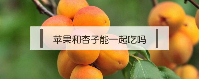 苹果和杏子能一起吃吗（苹果可以和杏一起吃吗）