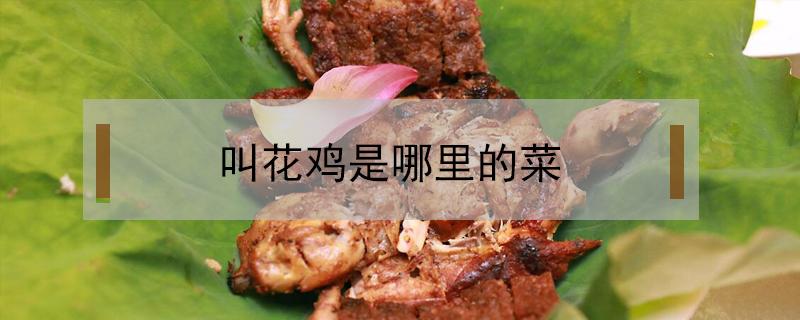 叫花鸡是哪里的菜（叫花鸡是哪里的菜系）