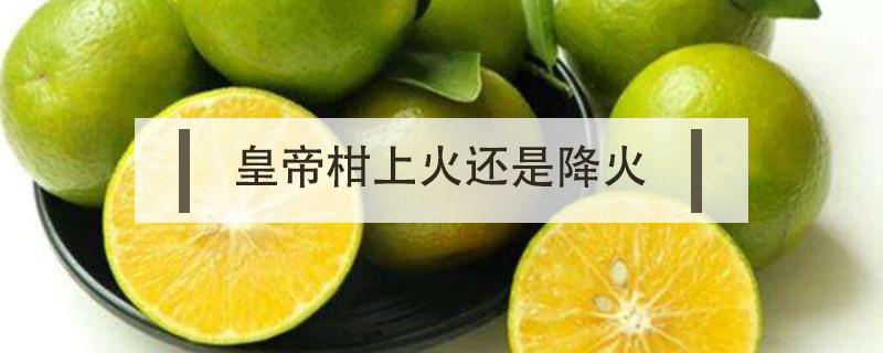 皇帝柑上火还是降火